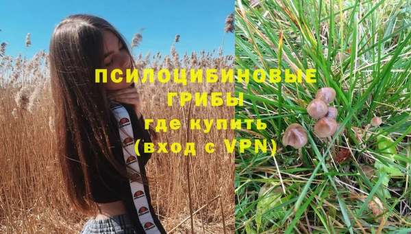 гидра Балабаново