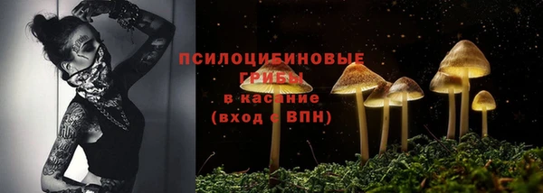 гидра Балабаново